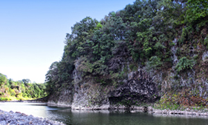 Chatancheon Columnar Joint