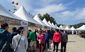 연천 고려인삼축제 1